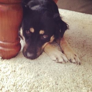 Meet your Posher, Suzanne