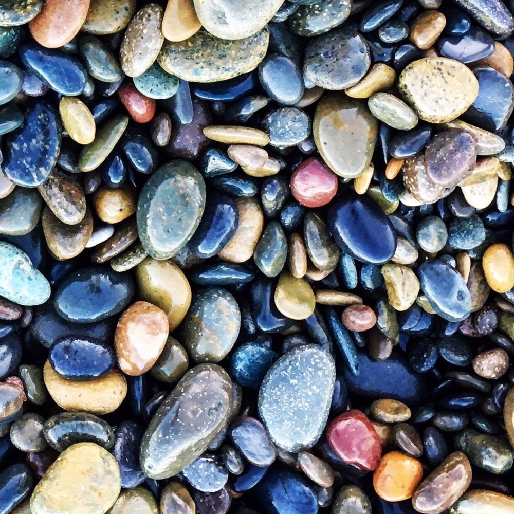 Meet your Posher, Ann