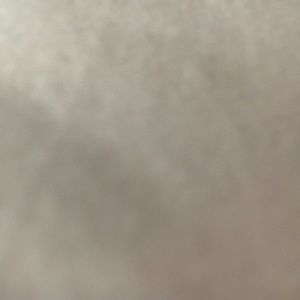 Meet your Posher, Falak