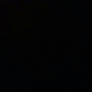 Meet your Posher, Terry