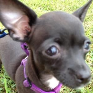 Meet your Posher, Barbara