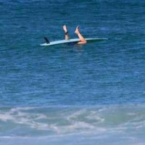 Meet your Posher, Matt