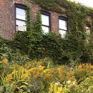 Meet your Posher, Meg