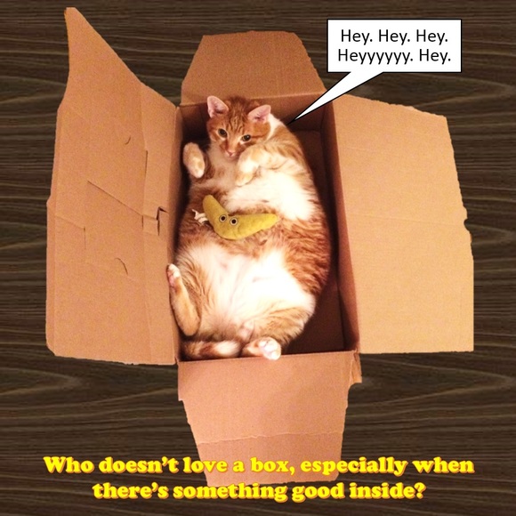 How's about I box up some stuff for you? - Picture 1 of 1