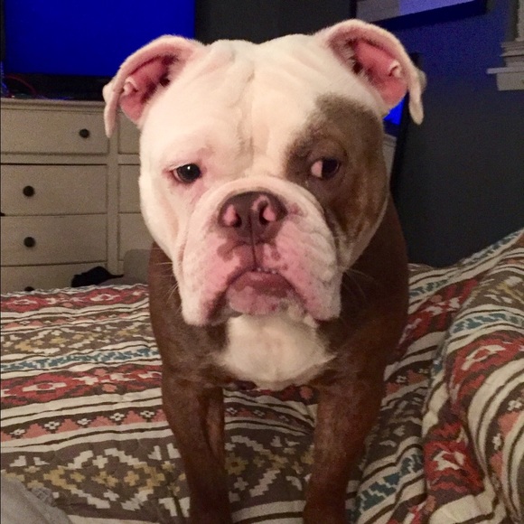 Meet the Posher Other - Meet your Posher, Nay