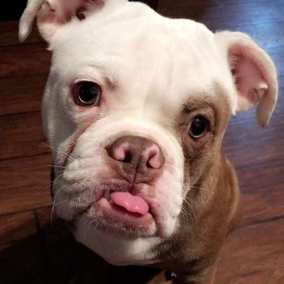 Meet your Posher, Nay - Picture 2 of 7