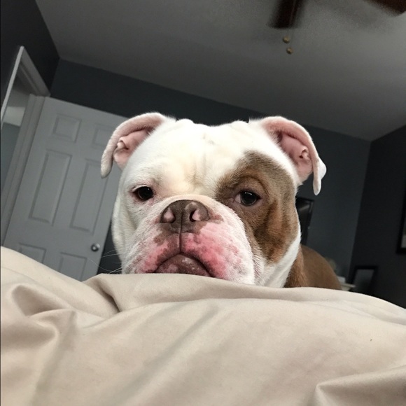 Meet your Posher, Nay - Picture 3 of 7