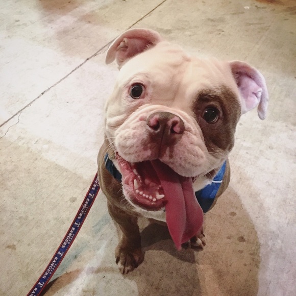 Meet your Posher, Nay - Picture 4 of 7