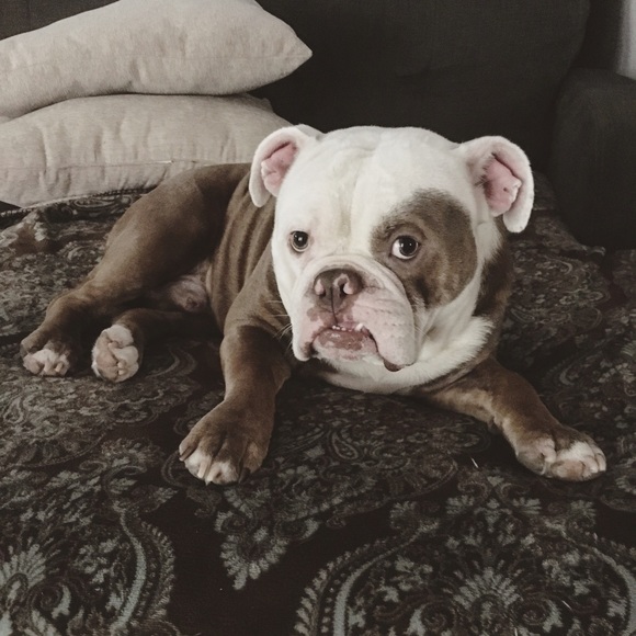 Meet your Posher, Nay - Picture 5 of 7