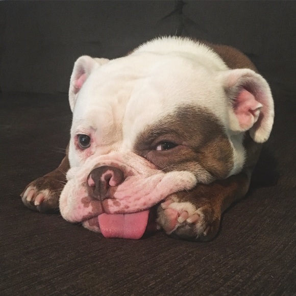 Meet your Posher, Nay - Picture 6 of 7