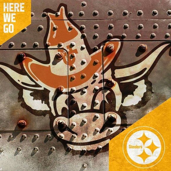 Meet your Posher, Joey - Picture 1 of 1