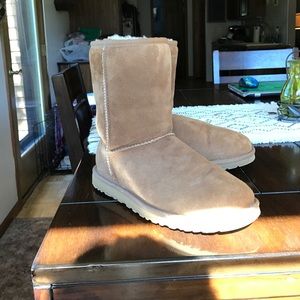Classic chestnut uggs