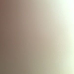 Meet your Posher, Alden