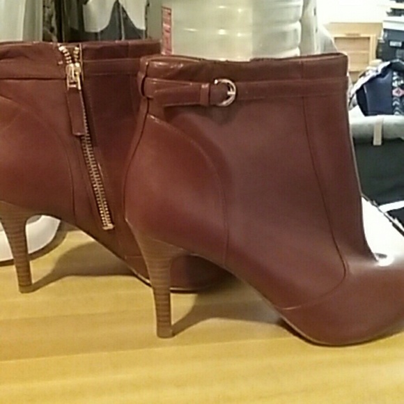 Burgandy Ankle  Boots
