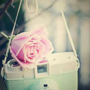 Meet your Posher, Emberlyn