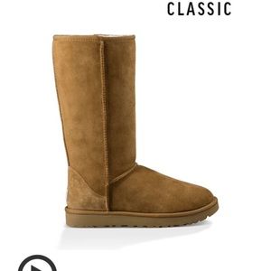 Classic tall uggs in chestnut