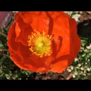 Meet your Posher, Miss