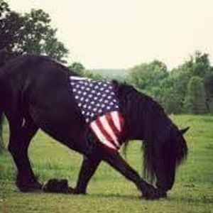 Meet your Posher, Jolene