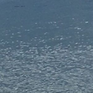 Meet your Posher, Joby