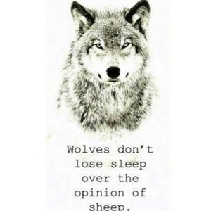 Meet your Posher, Korey