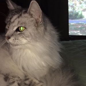 Meet your Posher, Madison