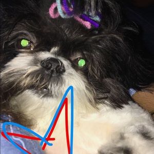 Meet your Posher, Jasmine