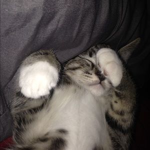 Meet your Posher, Sierra