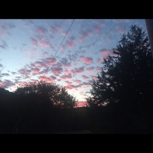 Meet your Posher, Ella