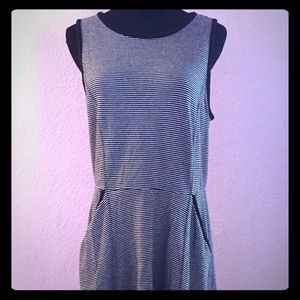 GAP Dress w/pockets! Size L