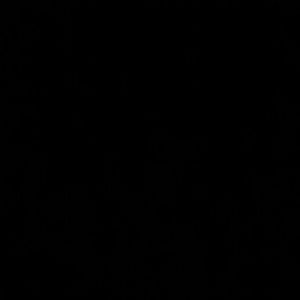 Meet your Posher, Monique