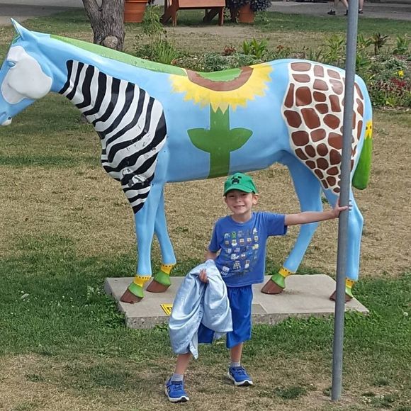 Meet your Posher, Mandy - Picture 1 of 1