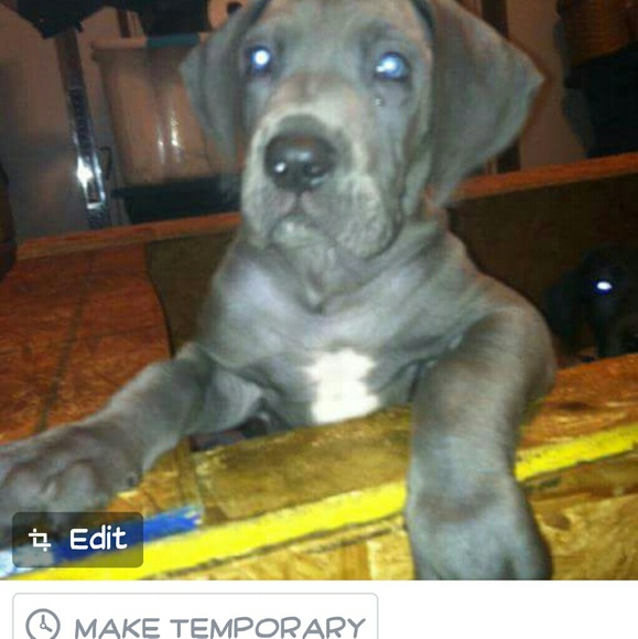 Meet your Posher, Marci - Picture 1 of 1