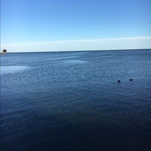 Meet your Posher, Luke