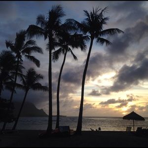 Meet your Posher, Baily