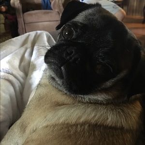 Meet your Posher, Rachael