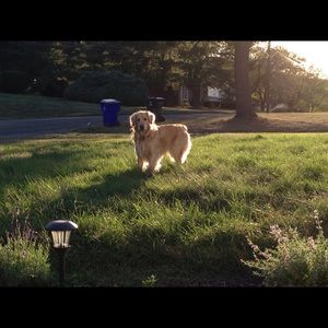 Meet your Posher, Kikuko