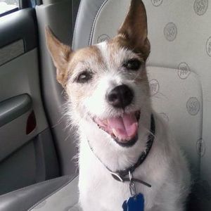 Meet your Posher, Becky