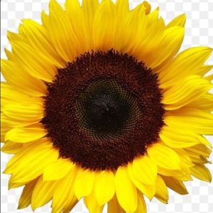 Meet your Posher, Val