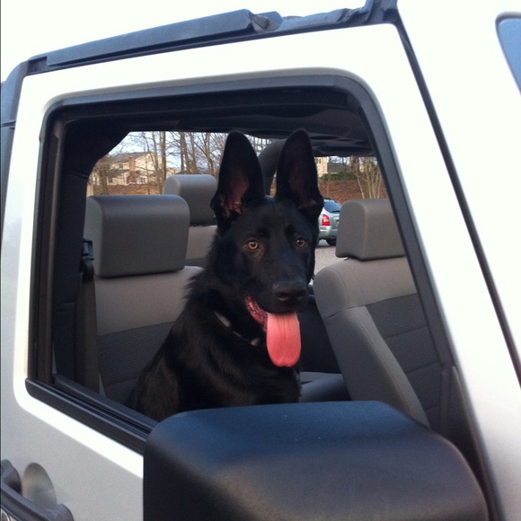 Meet your Posher, Amanda - Picture 4 of 4