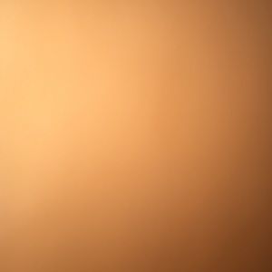 Meet your Posher, Tierra