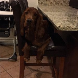 Meet your Posher, Kaite