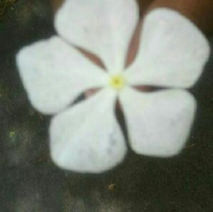 Meet your Posher, Billie