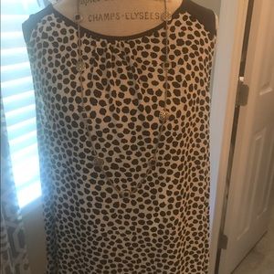 NWT cow print blouse