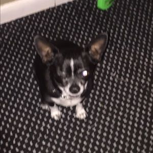 Meet your Posher, Matthew