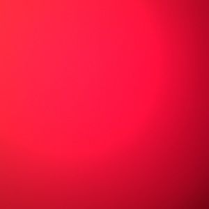 Meet your Posher, Callie