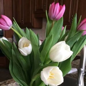 Meet your Posher, Kathryn