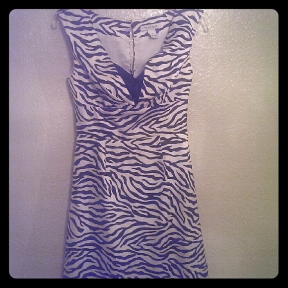 Zebra print cocktail dress WHBM - Picture 1 of 3