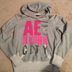 Grey and green stripe ae hoodie