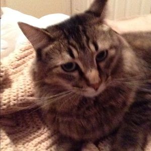 Meet your Posher, Lynne