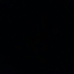 Meet your Posher, Desiree